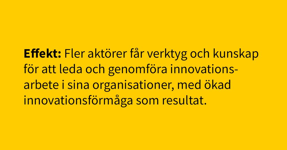 Effekt-innovationsförmåga i parktiken.jpg