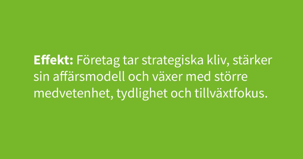 Effekt-företagsfrämjande aktiviteter.jpg