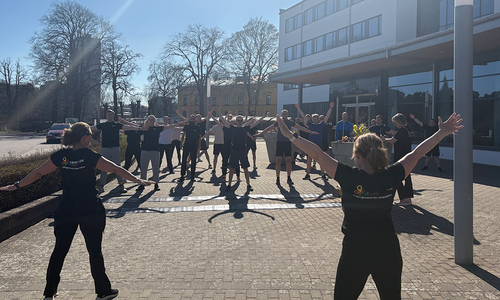 Hälsodagen 2026.png