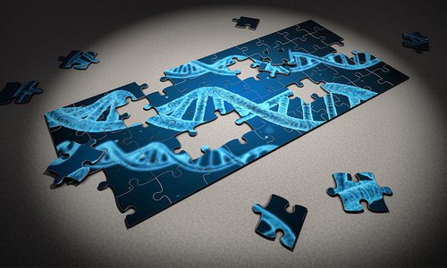 Inn2Health illustration