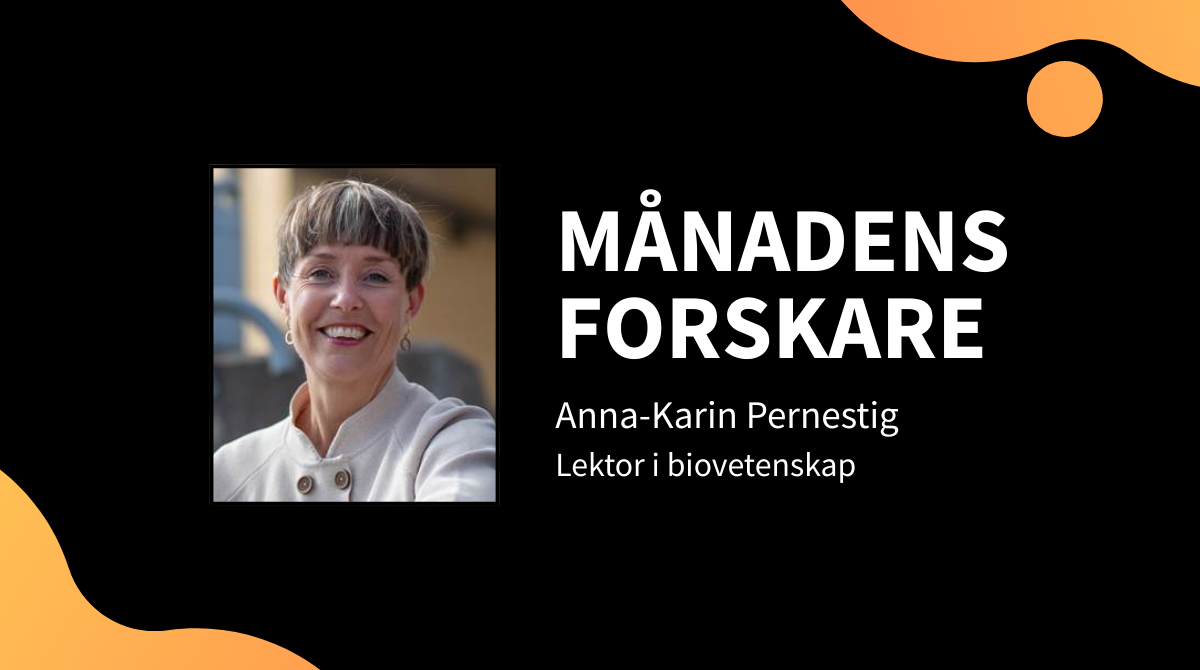 MÅNADENS FORSKARE.png