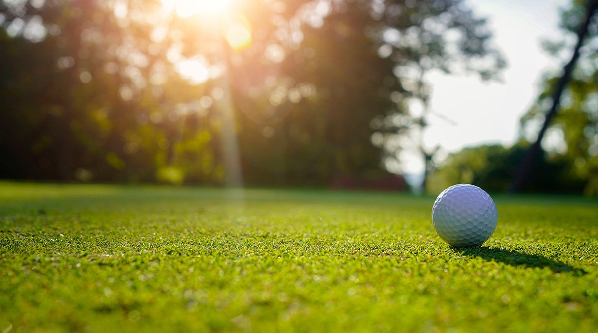 Science Park Open 2026.jpg