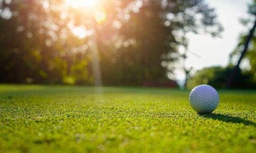 Science Park Open 2026.jpg