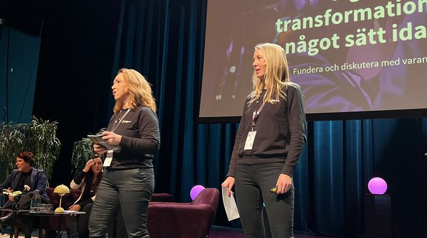 Skaraborgsdagen 2.jpg