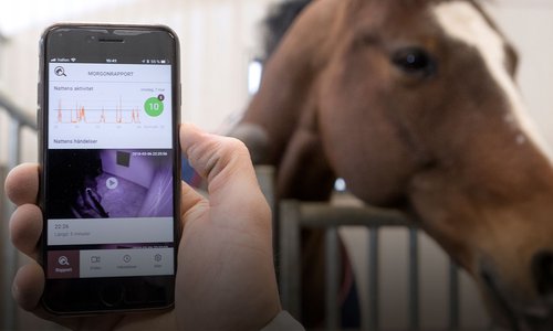 Videquus ger dig full koll på din häst
