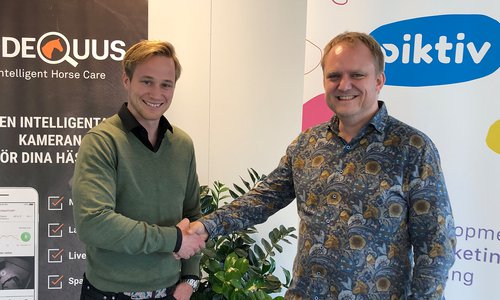 Videquus och Pikiv tecknar avtal