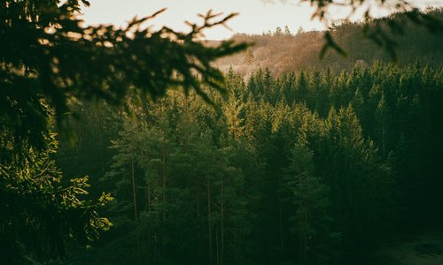 shutterstock_2646200017 (1).jpg